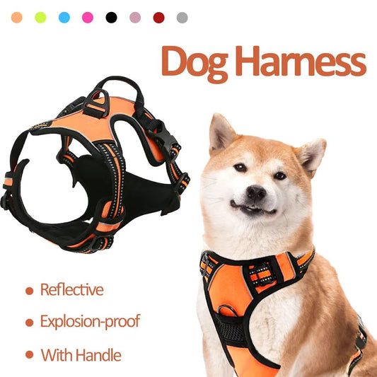 Premium Comfort Dog Harness!