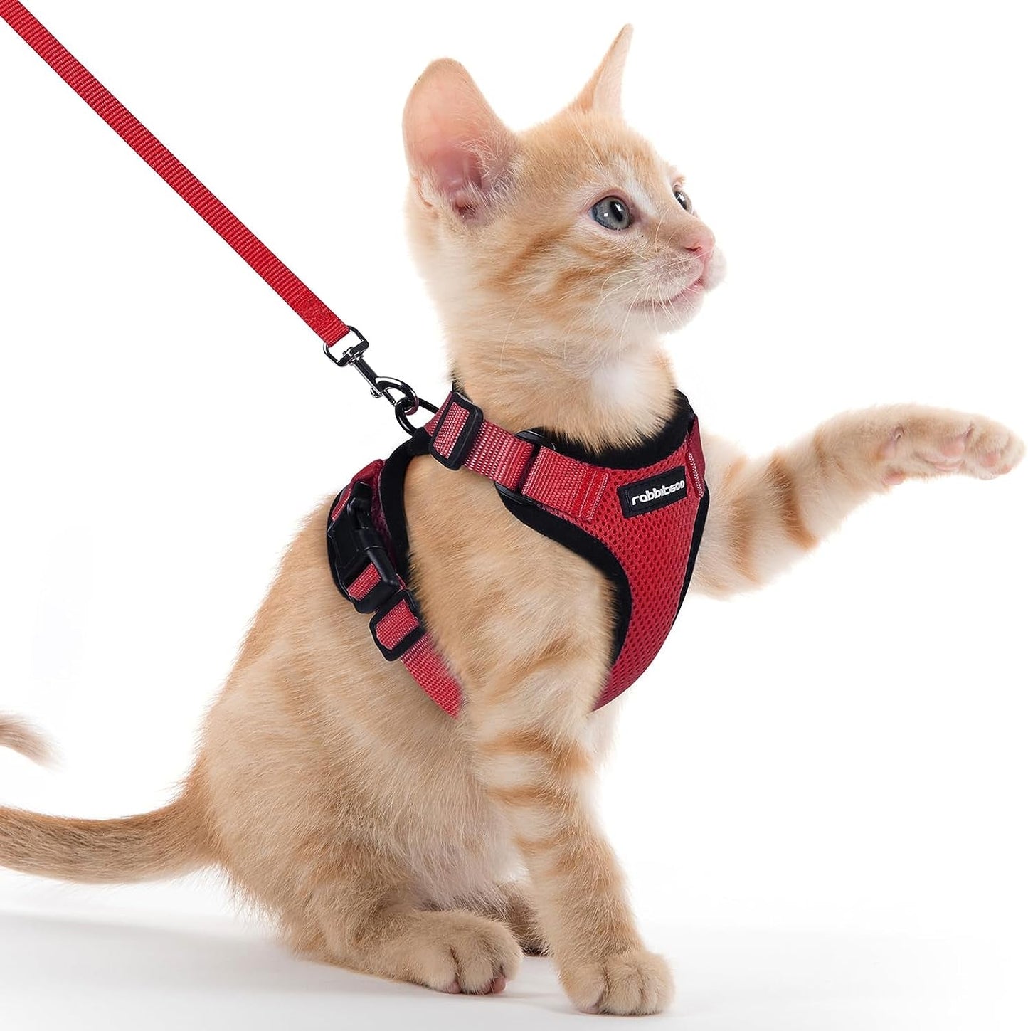 Cat Harness and Leash for Walking, Escape Proof Soft Adjustable Vest Harnesses for Cats, Easy Control Breathable Reflective Strips Jacket, Black, XS