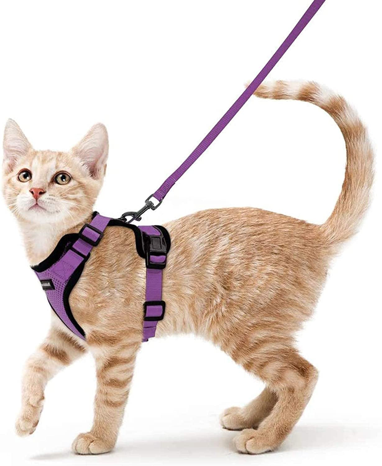 Cat Harness and Leash for Walking, Escape Proof Soft Adjustable Vest Harnesses for Cats, Easy Control Breathable Reflective Strips Jacket, Black, XS