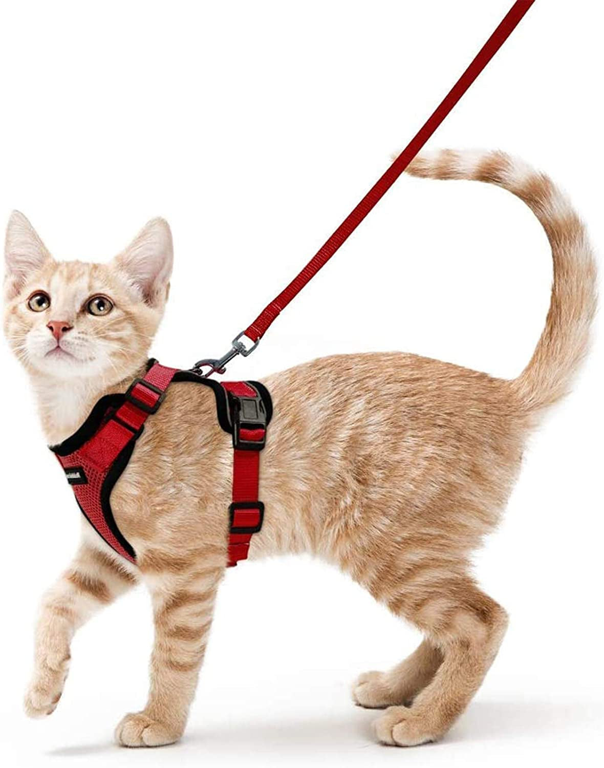 Cat Harness and Leash for Walking, Escape Proof Soft Adjustable Vest Harnesses for Cats, Easy Control Breathable Reflective Strips Jacket, Black, XS