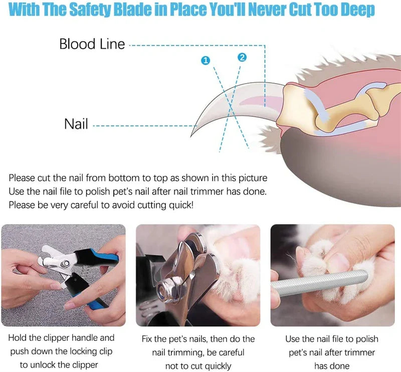 Eco-Friendly Stainless Steel Professional Claw Care Pet Nail Clipper