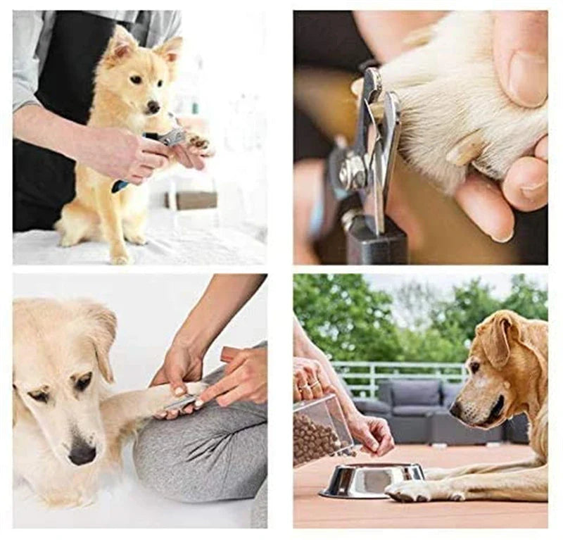 Eco-Friendly Stainless Steel Professional Claw Care Pet Nail Clipper