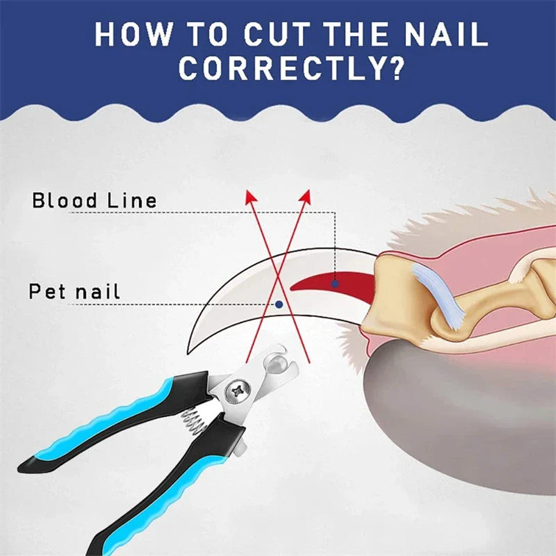 Eco-Friendly Stainless Steel Professional Claw Care Pet Nail Clipper