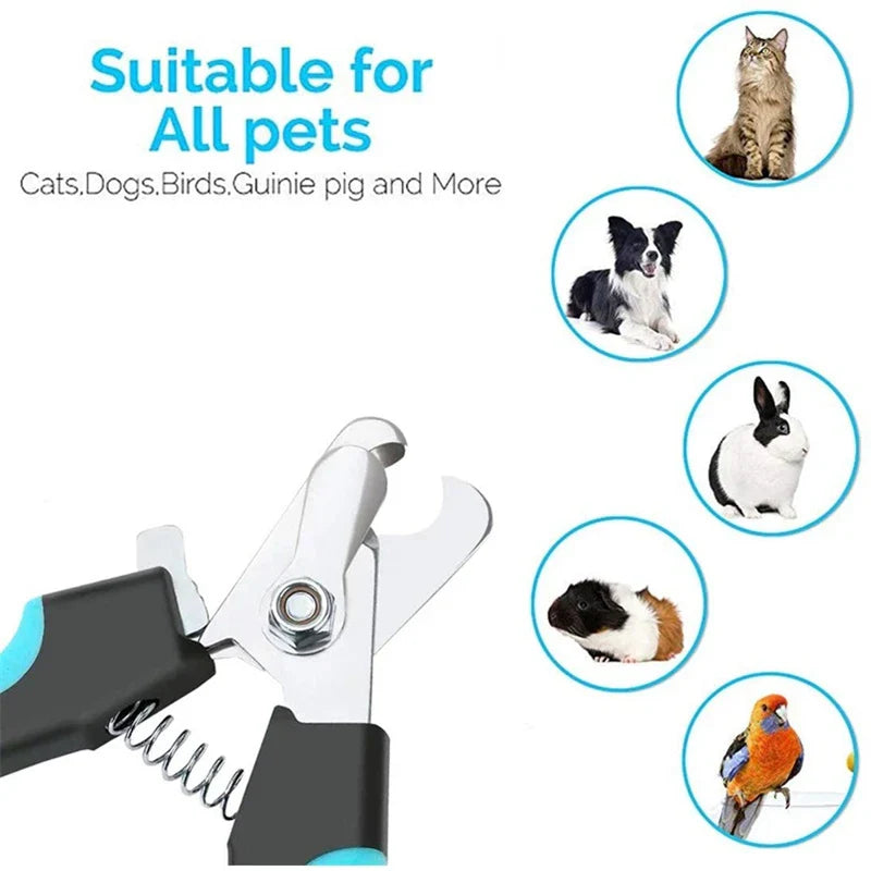 Eco-Friendly Stainless Steel Professional Claw Care Pet Nail Clipper