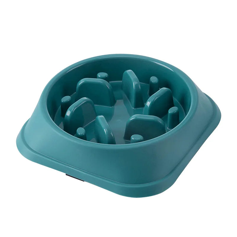 Pet Slow Feed Health Bowl