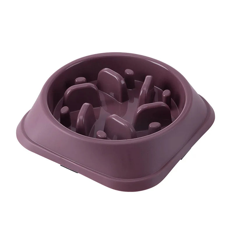 Pet Slow Feed Health Bowl