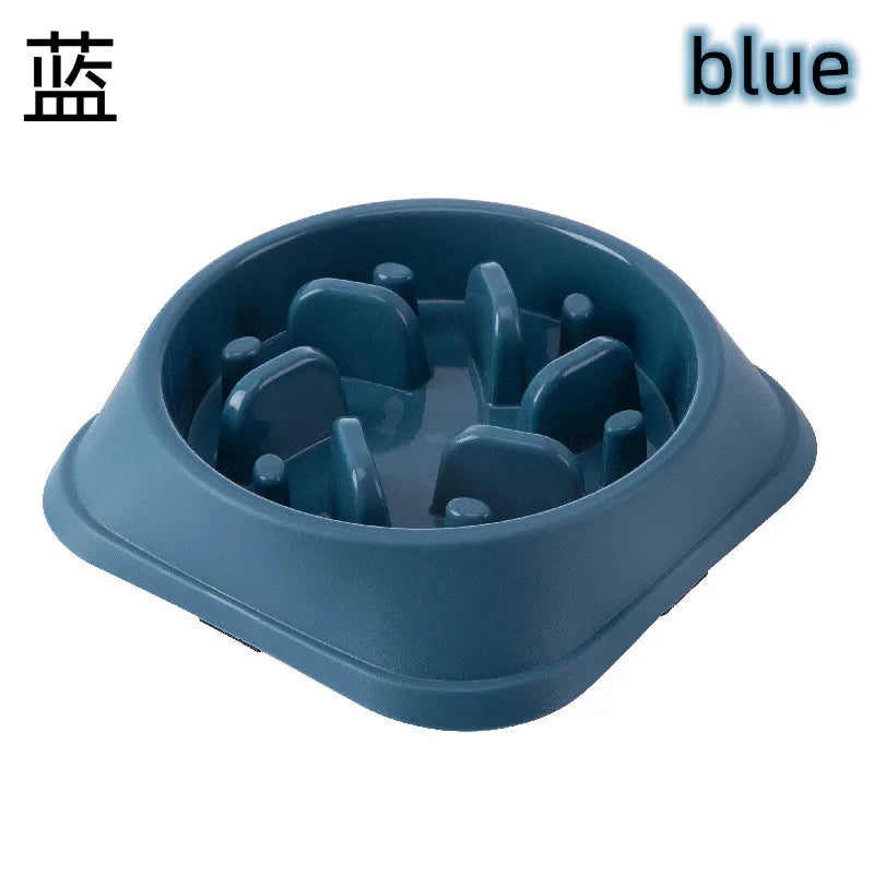 Pet Slow Feed Health Bowl