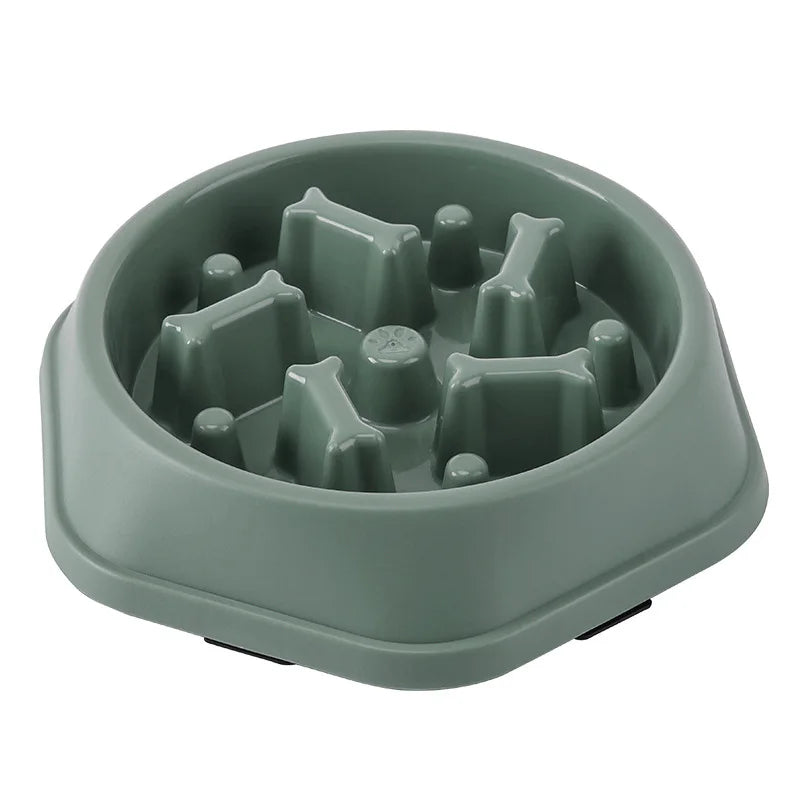 Pet Slow Feed Health Bowl