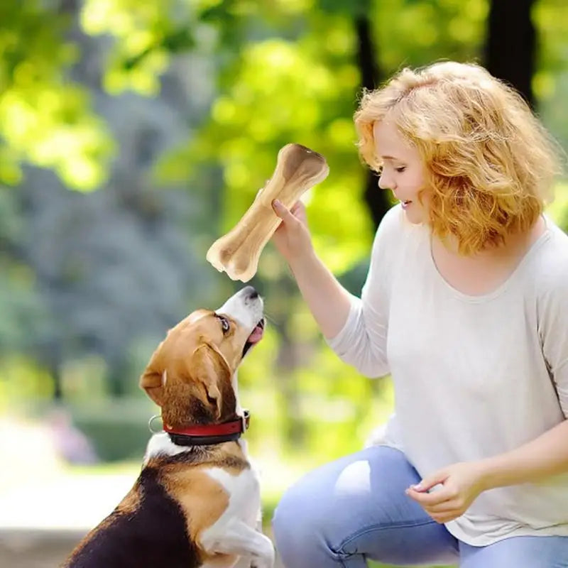 Dog Teething Bone For Medium Dogs