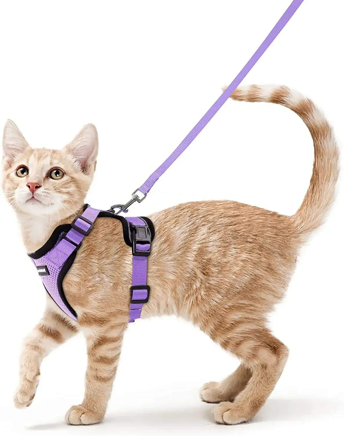 Cat Harness and Leash for Walking, Escape Proof Soft Adjustable Vest Harnesses for Cats, Easy Control Breathable Reflective Strips Jacket, Black, XS