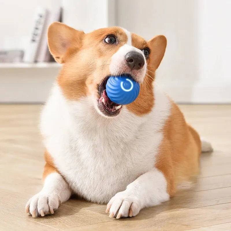 Dog Toys Intelligent Gravity Jump Ball Rechargeable Bite-Resistant Rolling Ball Cat And Dog Chase Interactive Pet Toys