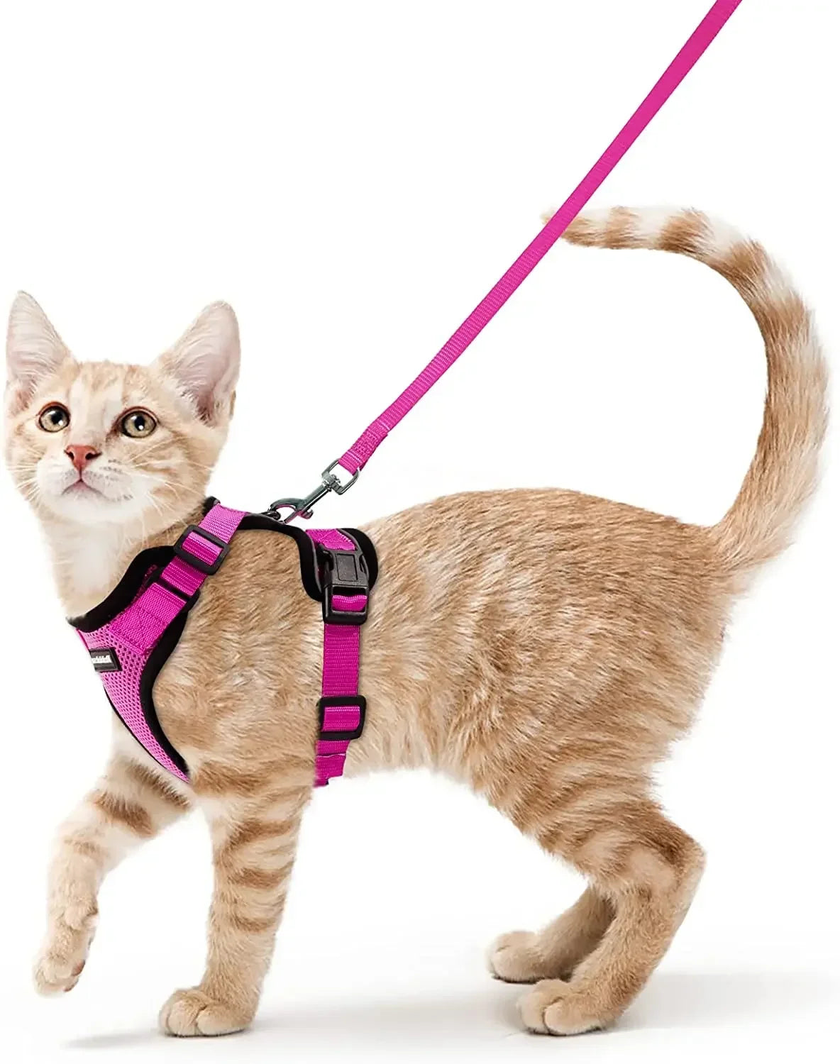 Cat Harness and Leash for Walking, Escape Proof Soft Adjustable Vest Harnesses for Cats, Easy Control Breathable Reflective Strips Jacket, Black, XS