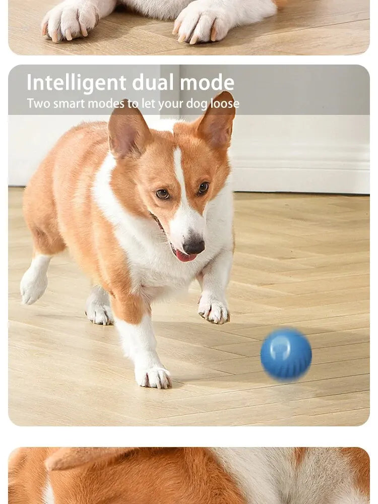 Dog Toys Intelligent Gravity Jump Ball Rechargeable Bite-Resistant Rolling Ball Cat And Dog Chase Interactive Pet Toys