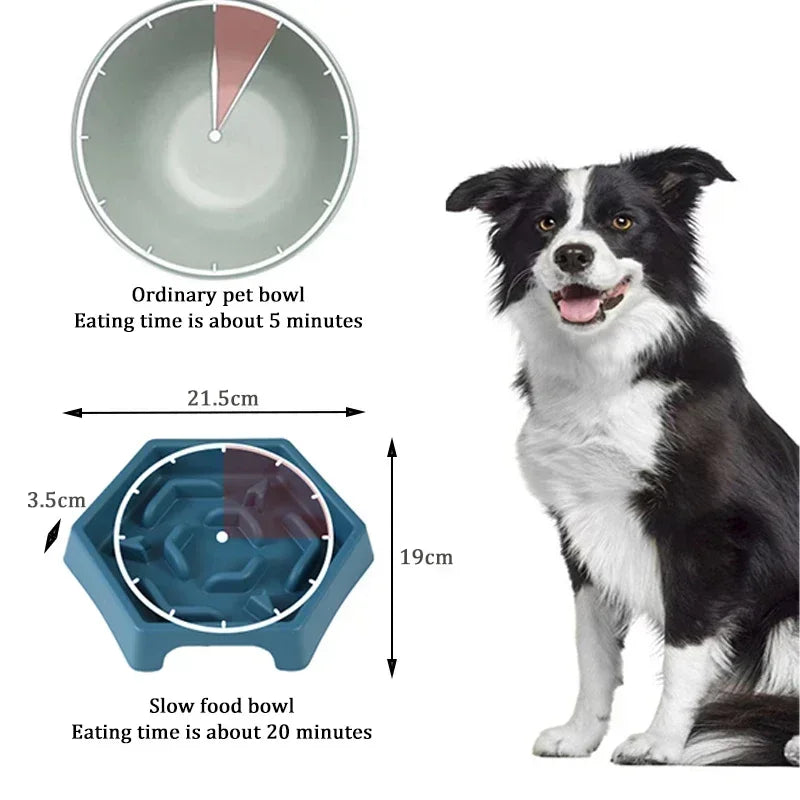 Dog Bowl - Anti Choking Slow Food Bowl