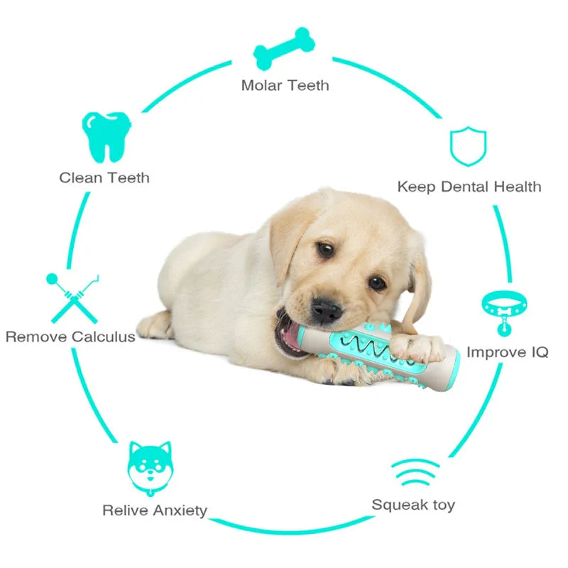 Dog Toothbrush Toys