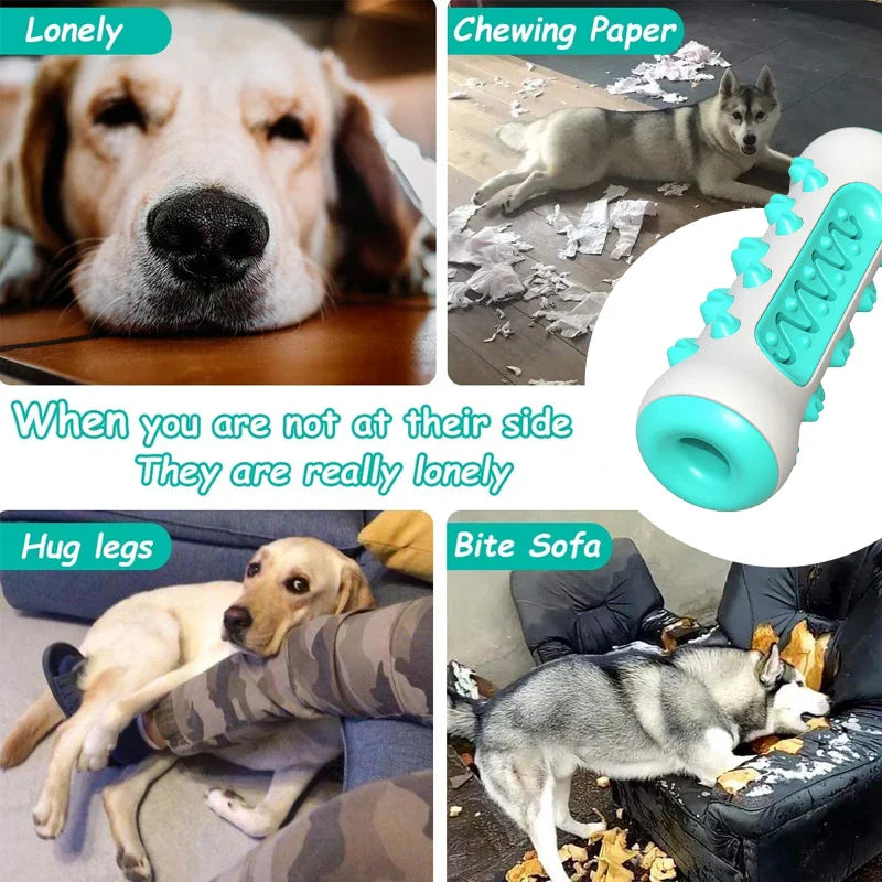 Dog Toothbrush Toys