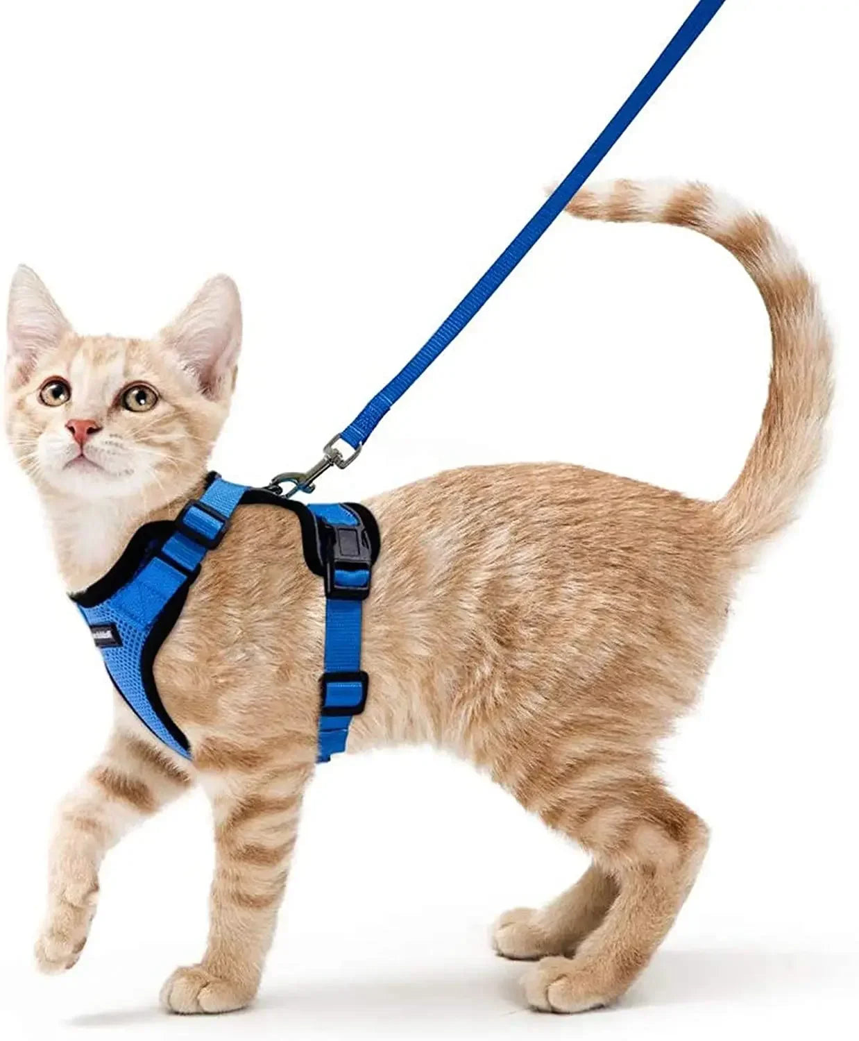 Cat Harness and Leash for Walking, Escape Proof Soft Adjustable Vest Harnesses for Cats, Easy Control Breathable Reflective Strips Jacket, Black, XS