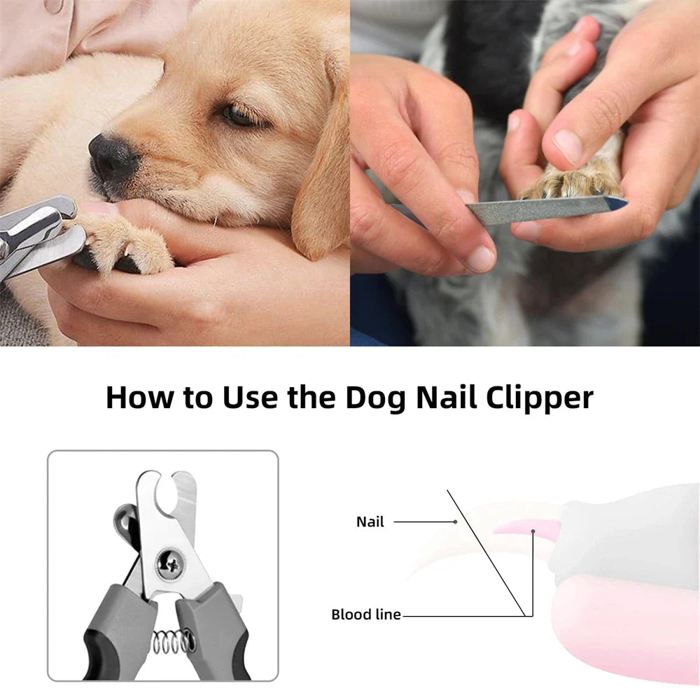 Eco-Friendly New Professional Safety Guard Pet Nail Clippers