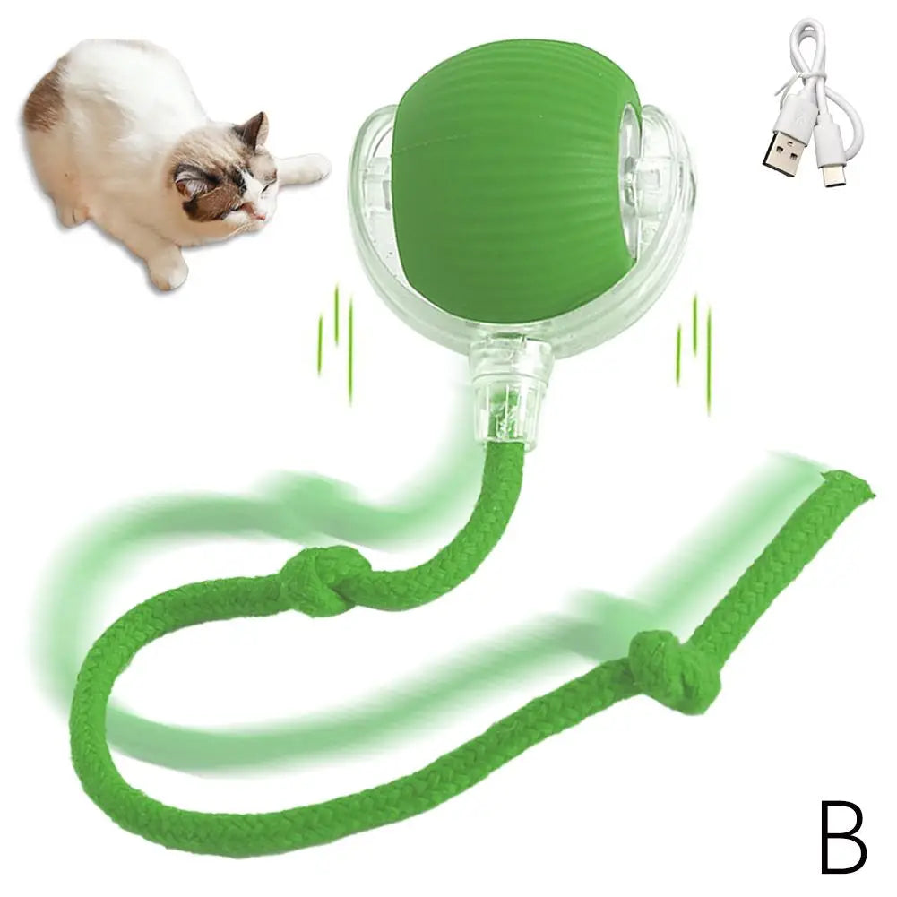 Chirping Motion-Activated Cat Ball