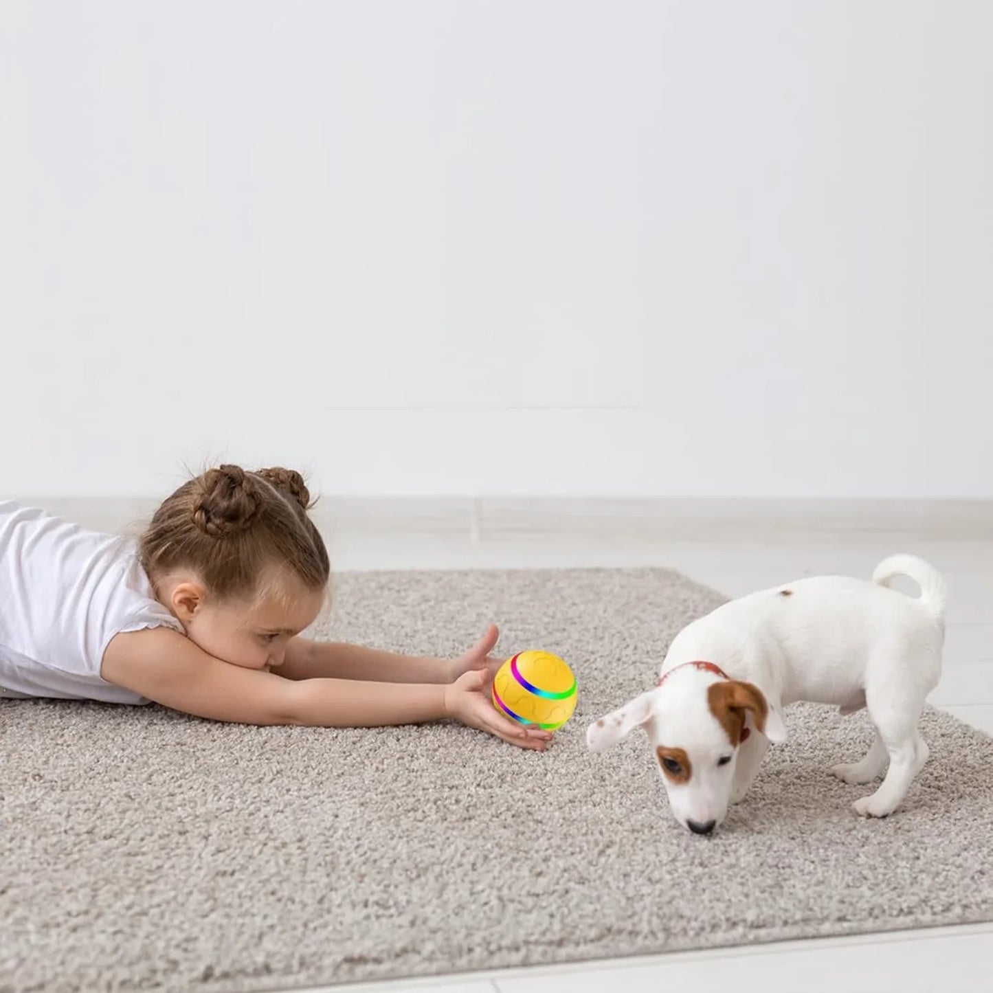 Pet Interactive Dog Ball