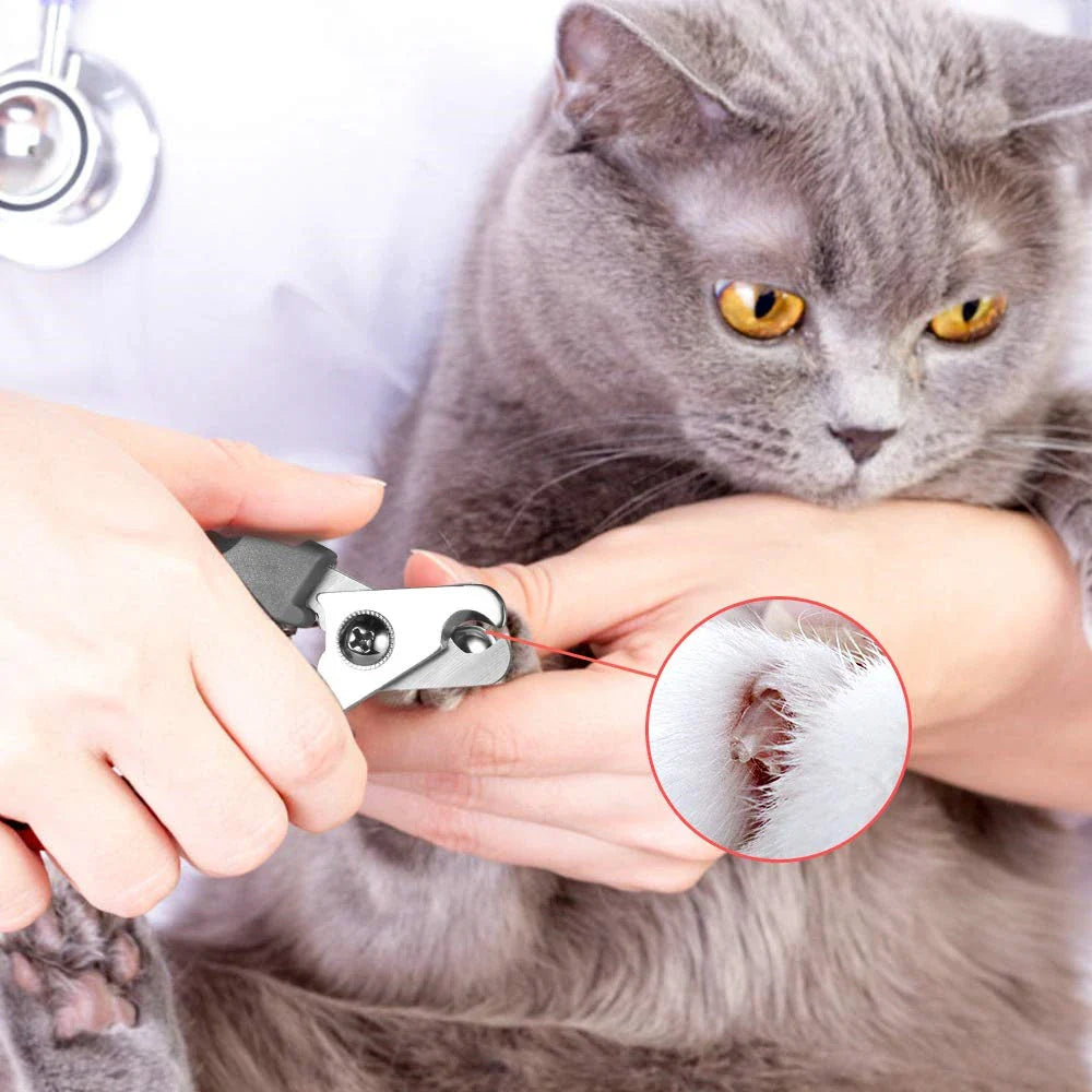 Eco-Friendly New Professional Safety Guard Pet Nail Clippers