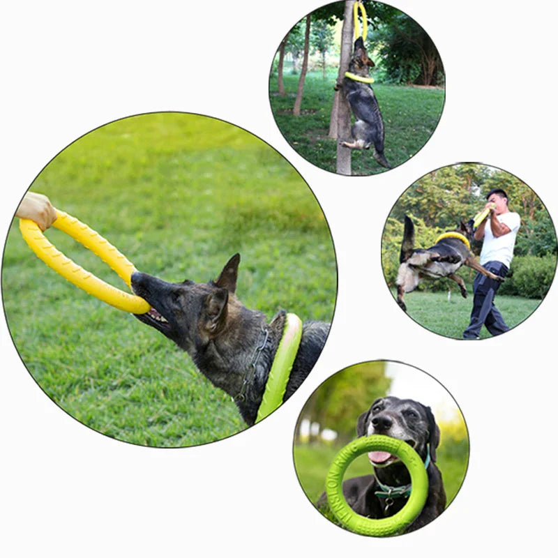 Durable Flying Disk & Puller – Floating, Anti-Bite Toy for Active Dogs