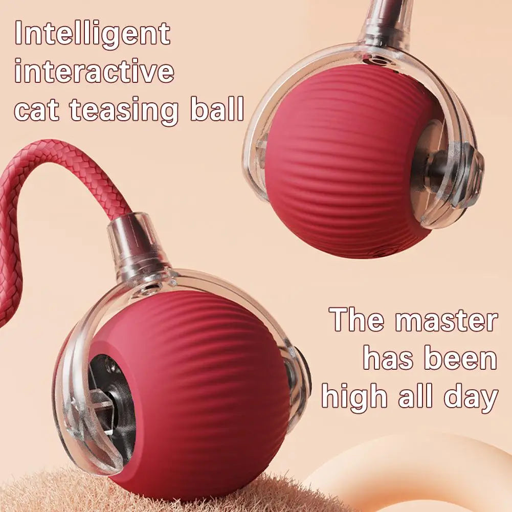 Chirping Motion-Activated Cat Ball