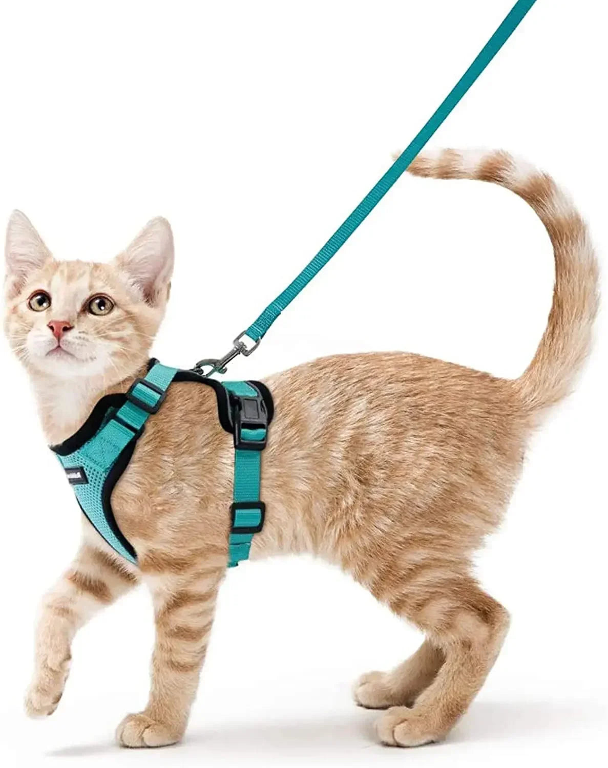 Cat Harness and Leash for Walking, Escape Proof Soft Adjustable Vest Harnesses for Cats, Easy Control Breathable Reflective Strips Jacket, Black, XS