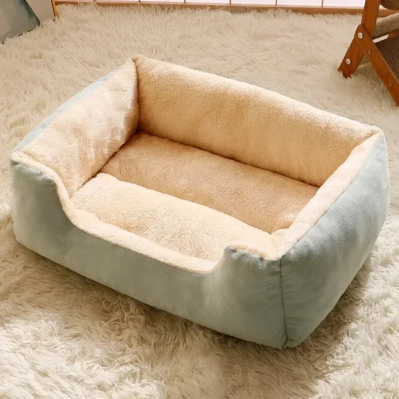 Cozy Pet Bed & Cushion