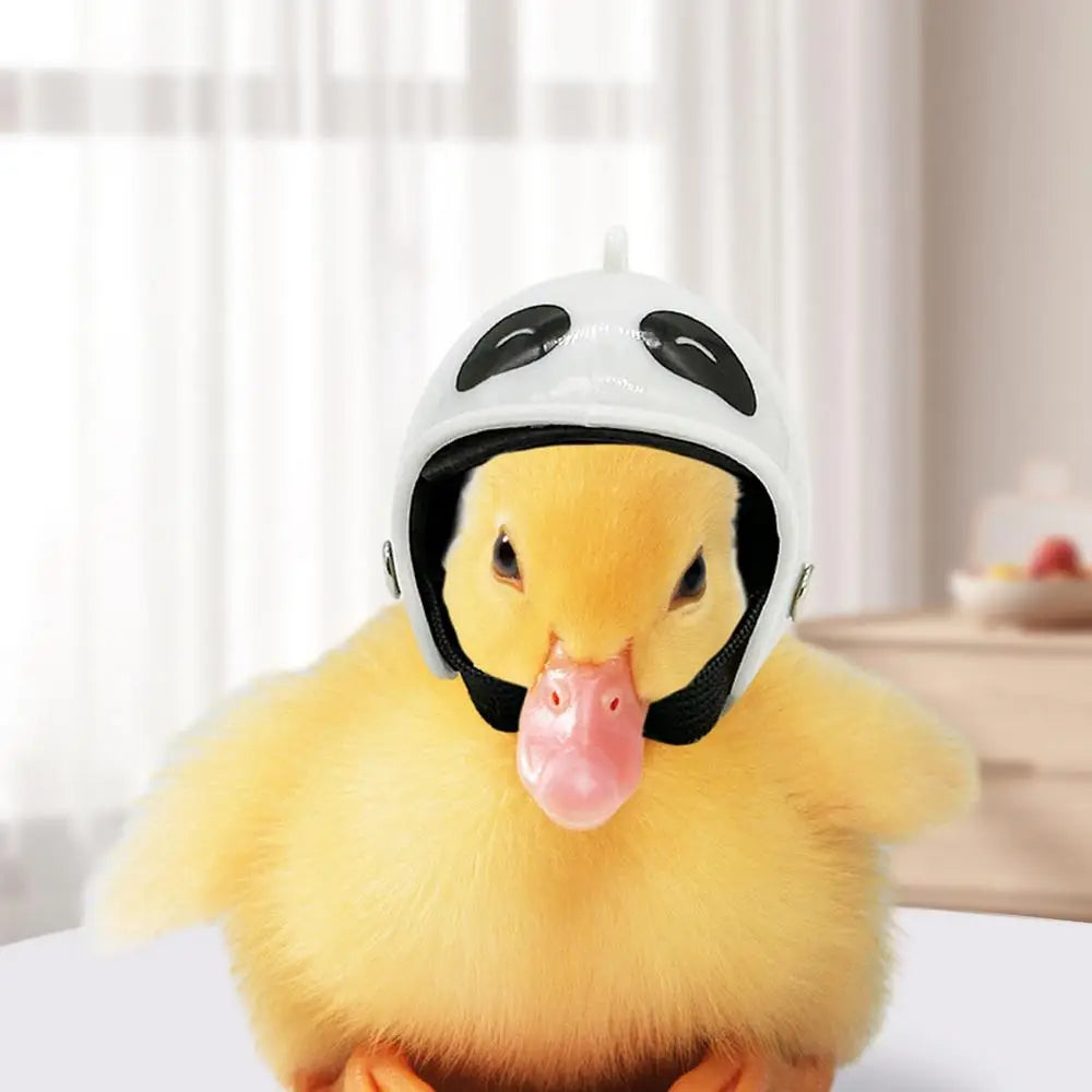 Funny Mini Chicken Helmet Pet Hard Hat Dollhouse Mini Helmet Toy Hat Headgear Pet Chicken Helmet Bird Head Helmet Pet Supplies