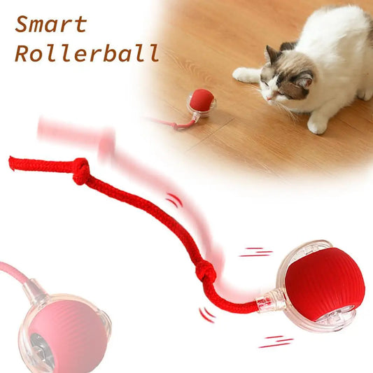 Chirping Motion-Activated Cat Ball