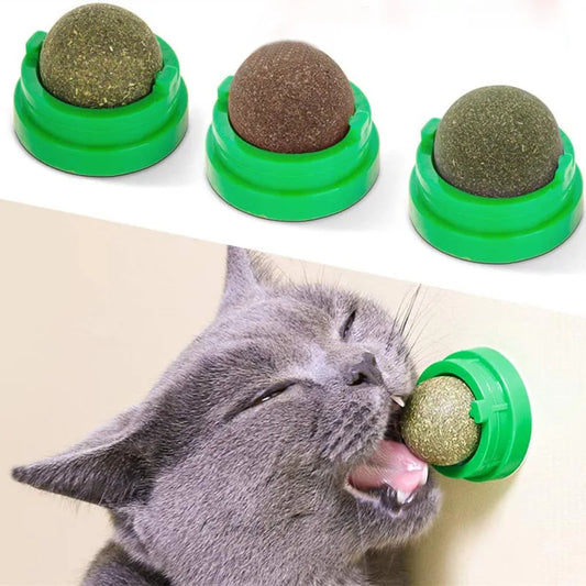 Natural Catnip Wall Stick-on Ball Toy for Cats