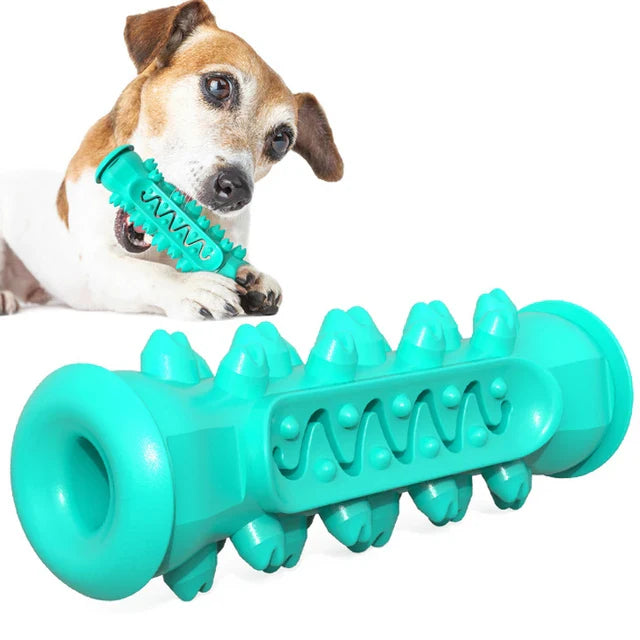 Dog Toothbrush Toys