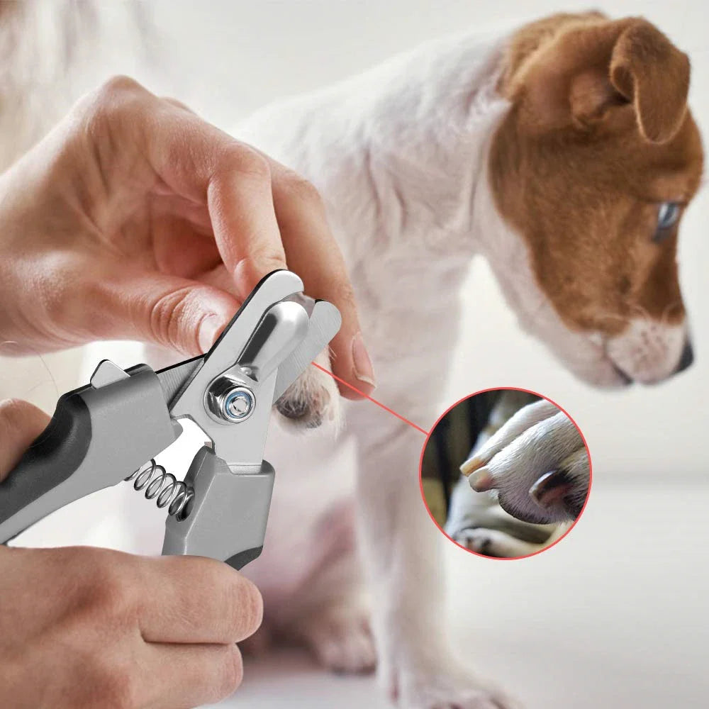 Eco-Friendly New Professional Safety Guard Pet Nail Clippers