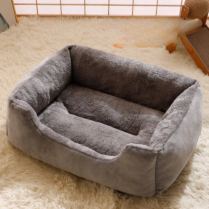 Cozy Pet Bed & Cushion