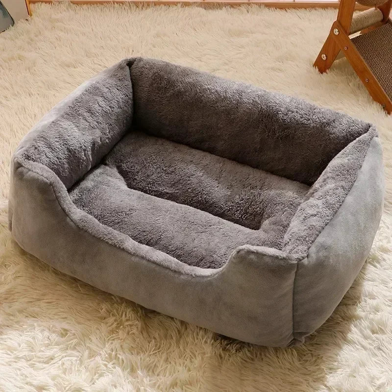 Cozy Pet Bed & Cushion