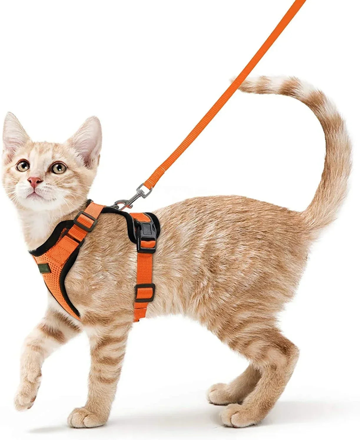 Cat Harness and Leash for Walking, Escape Proof Soft Adjustable Vest Harnesses for Cats, Easy Control Breathable Reflective Strips Jacket, Black, XS