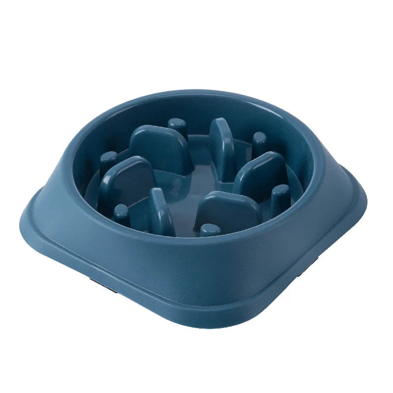 Pet Slow Feed Health Bowl