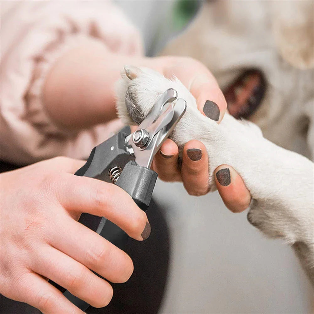 Eco-Friendly New Professional Safety Guard Pet Nail Clippers