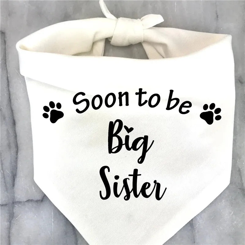 Big Brother Big Sister Dog Bandana Pregnancy Announcement