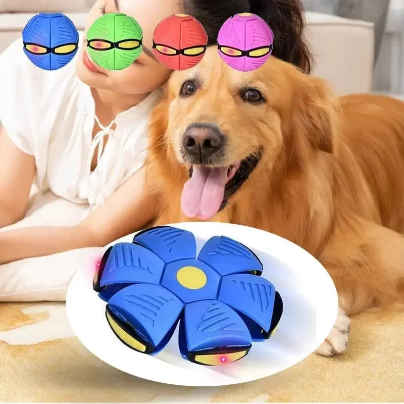 Flying saucer ball dog toy