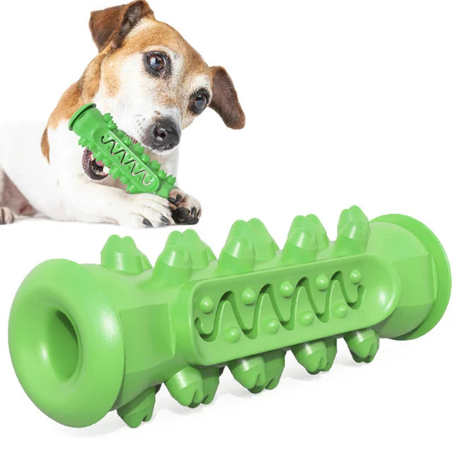 Dog Toothbrush Toys