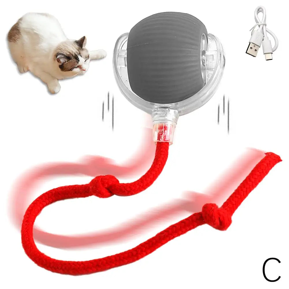 Chirping Motion-Activated Cat Ball