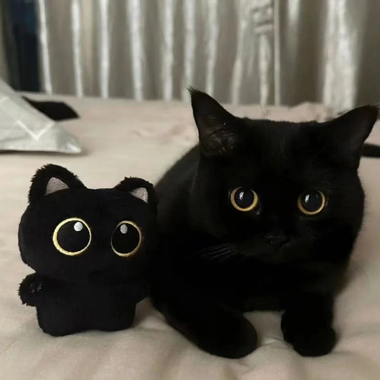 Cute black cats Key holder