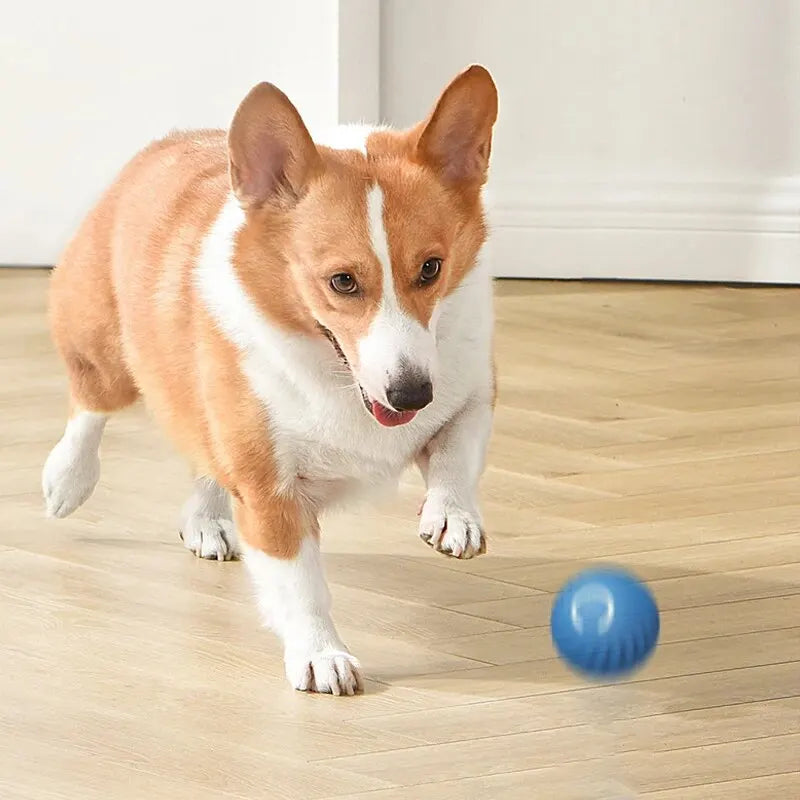 Dog Toys Intelligent Gravity Jump Ball Rechargeable Bite-Resistant Rolling Ball Cat And Dog Chase Interactive Pet Toys