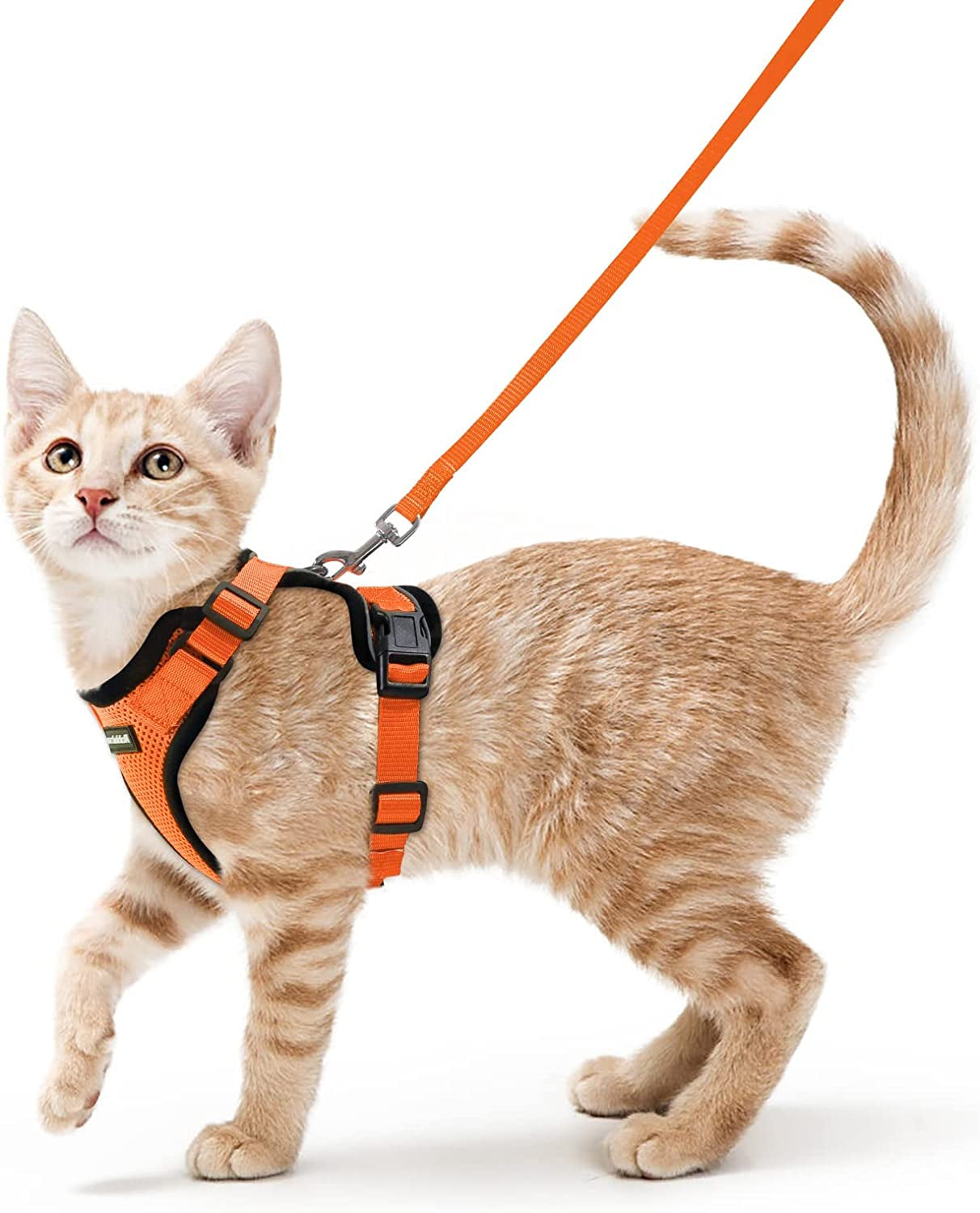 Cat Harness and Leash for Walking, Escape Proof Soft Adjustable Vest Harnesses for Cats, Easy Control Breathable Reflective Strips Jacket, Black, XS