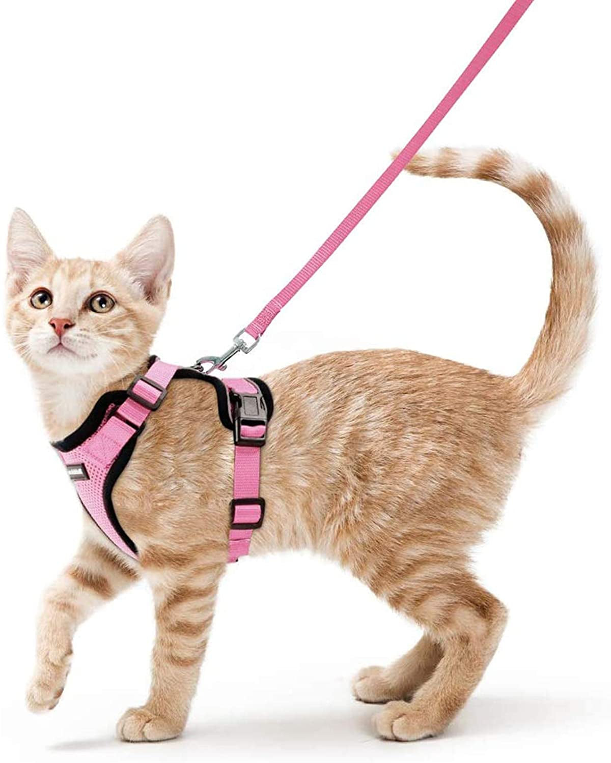 Cat Harness and Leash for Walking, Escape Proof Soft Adjustable Vest Harnesses for Cats, Easy Control Breathable Reflective Strips Jacket, Black, XS