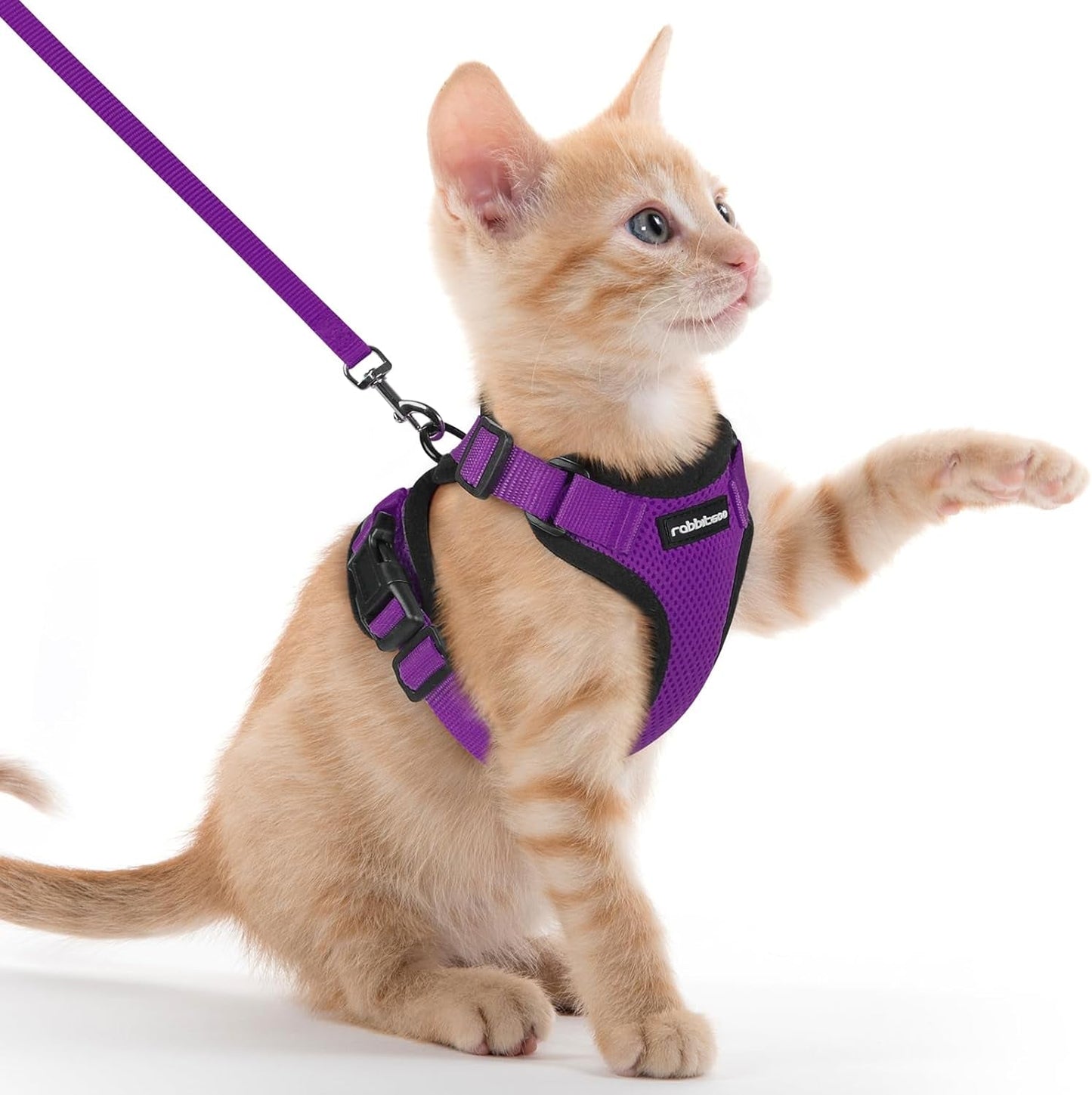 Cat Harness and Leash for Walking, Escape Proof Soft Adjustable Vest Harnesses for Cats, Easy Control Breathable Reflective Strips Jacket, Black, XS