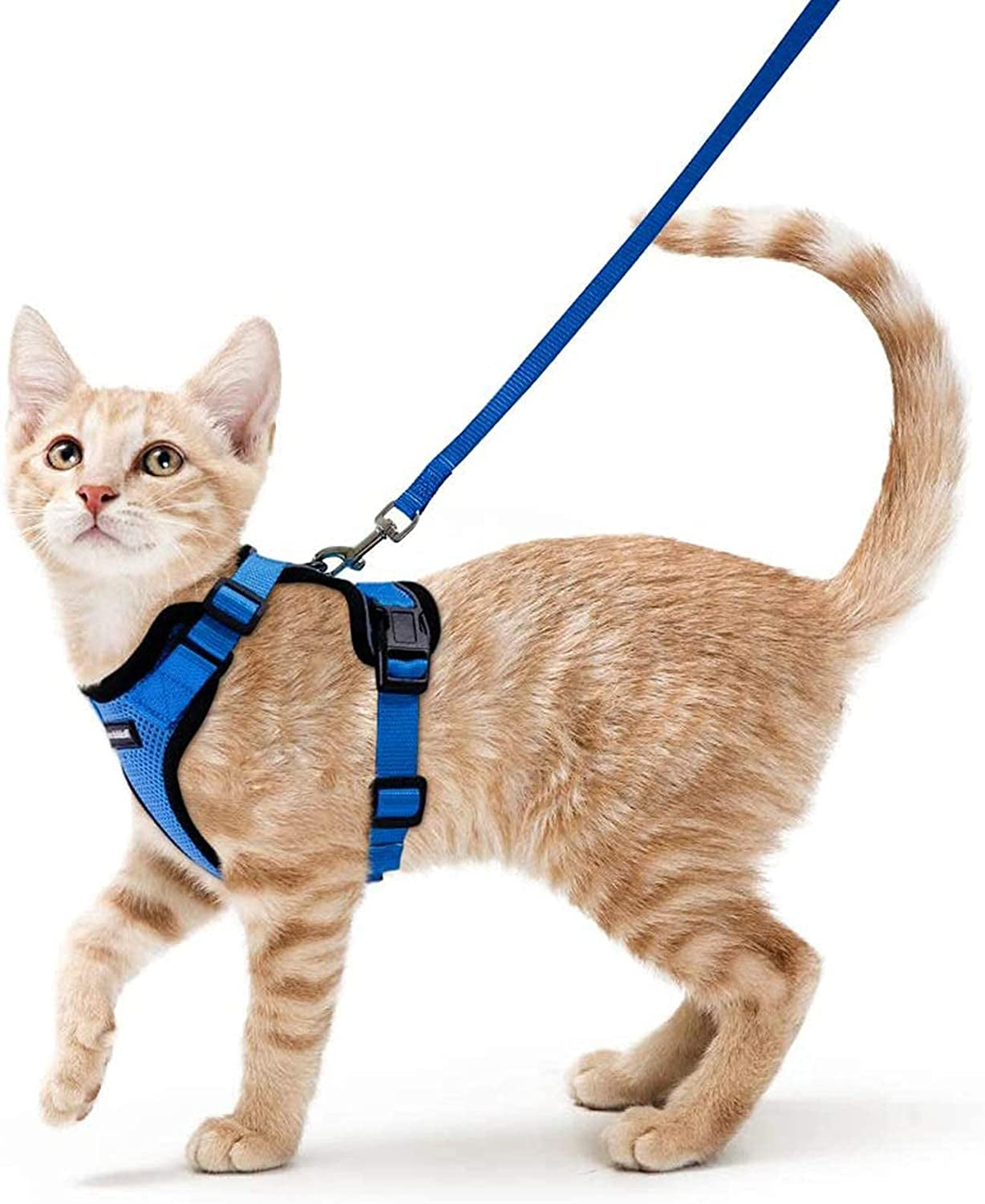 Cat Harness and Leash for Walking, Escape Proof Soft Adjustable Vest Harnesses for Cats, Easy Control Breathable Reflective Strips Jacket, Black, XS