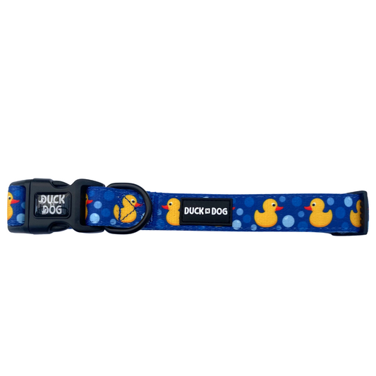 Dog Collar - Blue Duckling